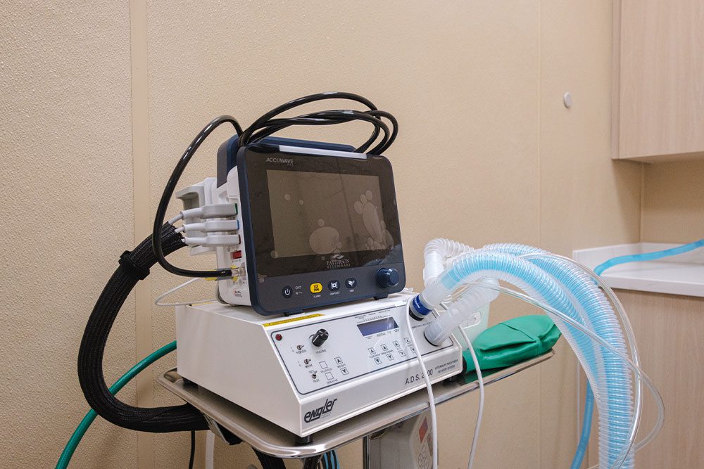 machine to help pets breathe during dental treatments