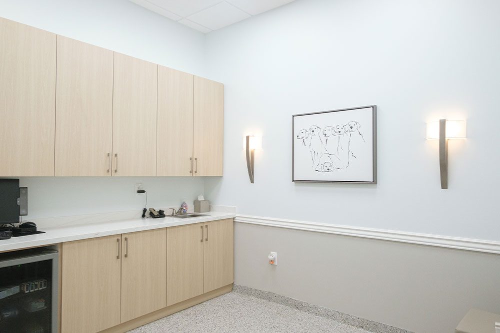 back area at White Plains Veterinary Hospital with cabinets, sink, and artwork of golden retrievers on wall