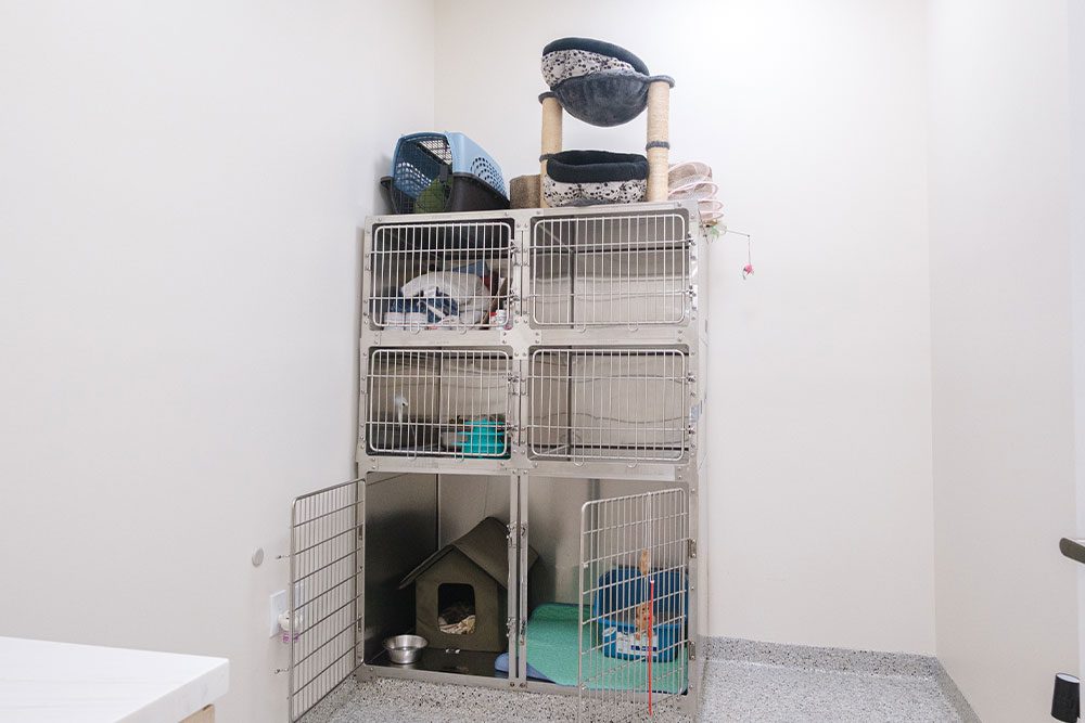 specialty pre- and post-surgical kennels for cats