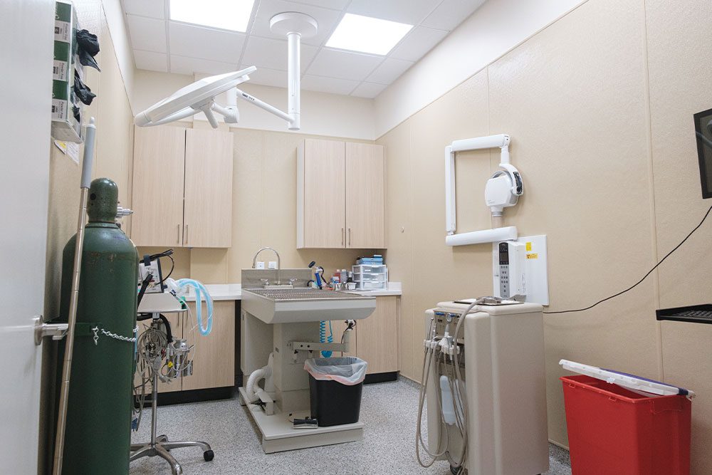 area at White Plains Veterinary Hospital dedicated to dental exams and treatment