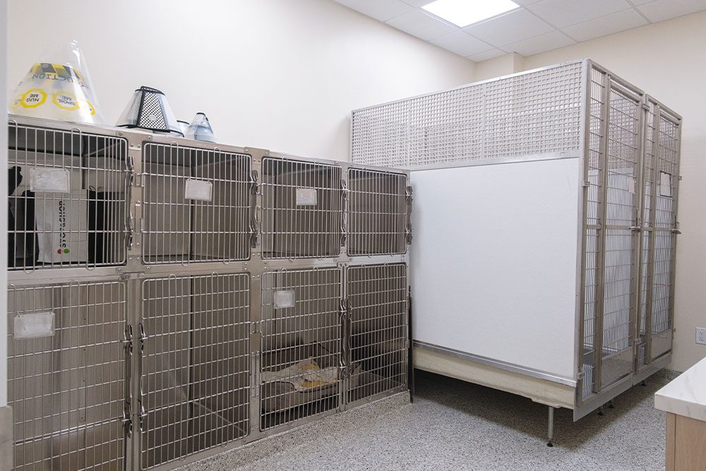 specialty pre- and post-surgical kennels for dogs