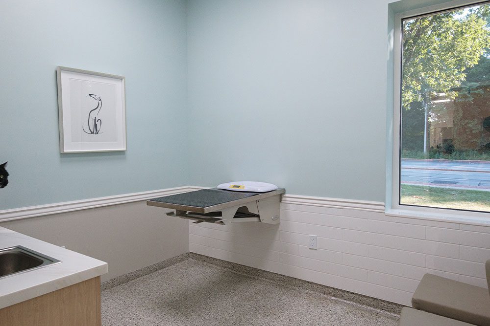 exam room with small exam table, sink and window