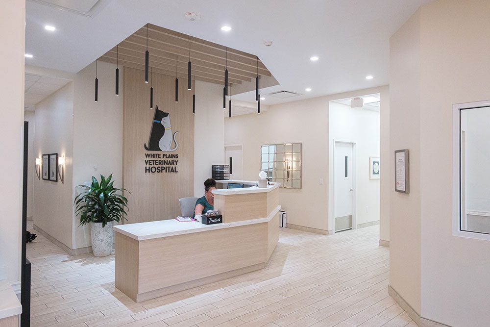 front desk receptionist area at White Plains Veterinary Hospital
