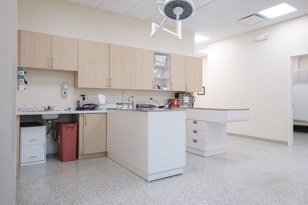 surgical area at White Plains Veterinary Hospital with two operating tables