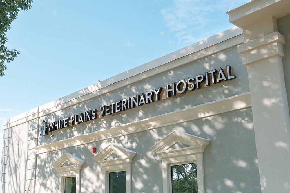 exterior building of White Plains Veterinary Hospital with logo on building
