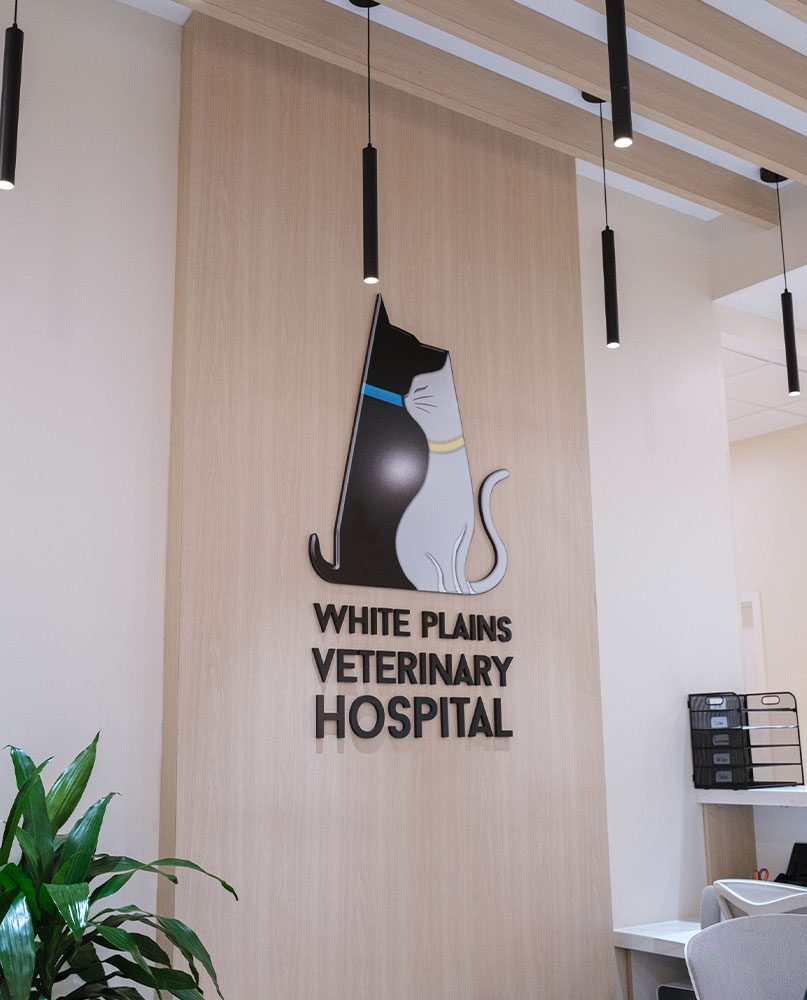 large 3D hospital logo affixed to wall