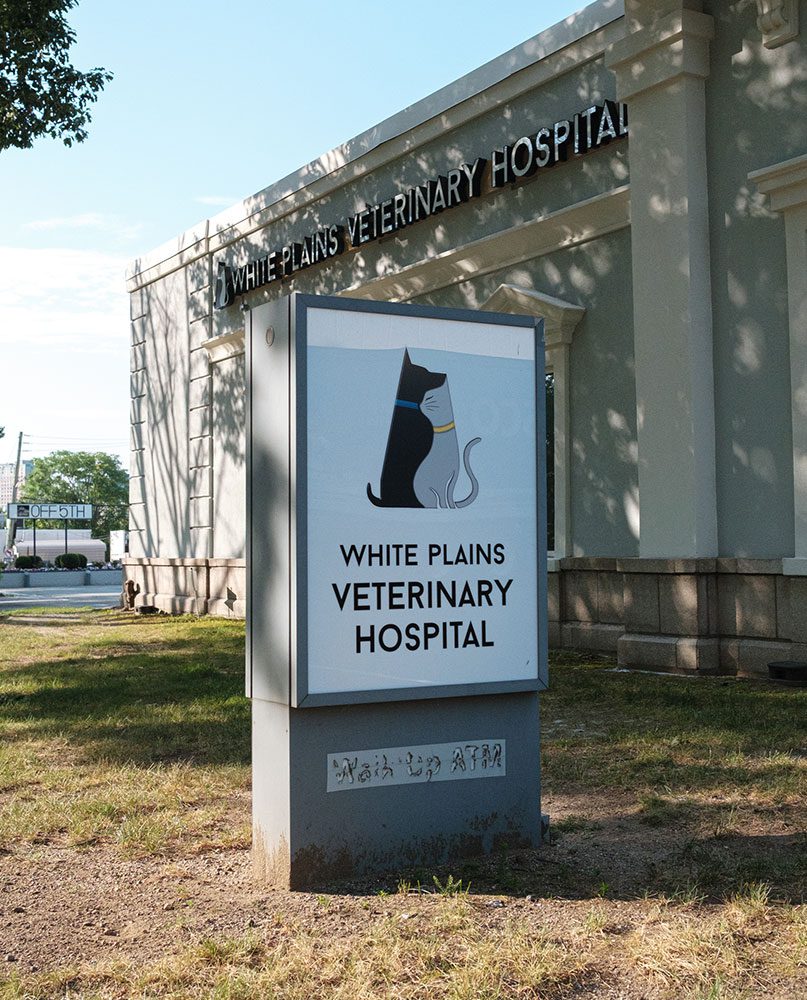 White Plains Veterinary Hospital Logo Sign Outside with Building in Background