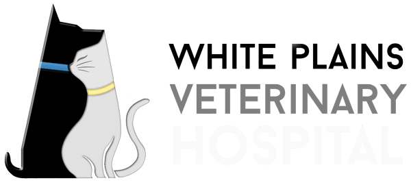 White Plains Logo White Hosp