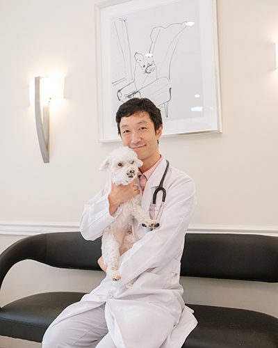 Dr Lee